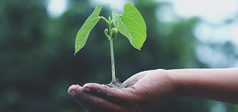 B2B Online Marketing Maturity Model